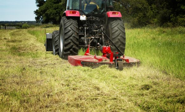 Brush Clearing Service in Anacortes