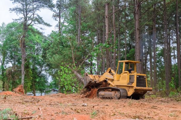 Property Clearing in Anacortes