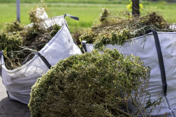 Bushes Clearing in Anacortes
