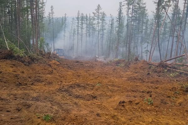 Hill Clearing in Anacortes